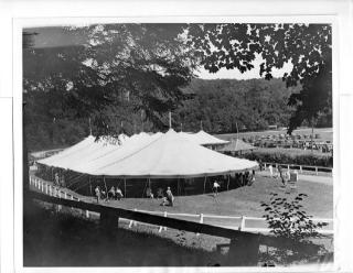 Tuxedo Dog Kennel Show