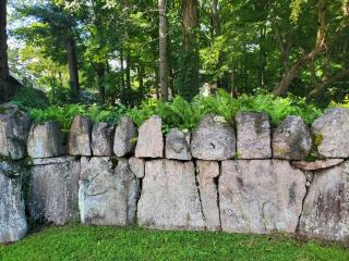 Stone Wall & Entrance