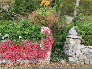 Stone Wall & Entrance