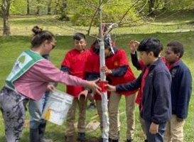 Children planting a tree