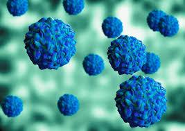 Polio virus detected in Orange County wastewater samples