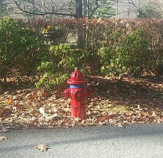 A Fresh Coat of Paint for the Hydrants