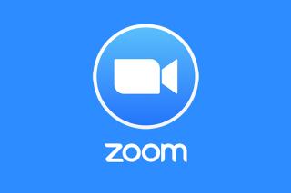 Videoconference Meeting Requirements: