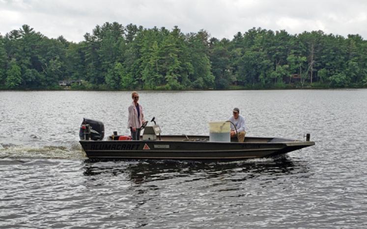 Treating Lakes For Undesirable Algae Bloom 