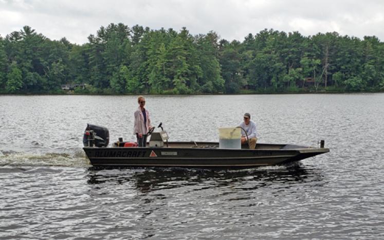 Treating Lakes For Undesirable Algae Bloom