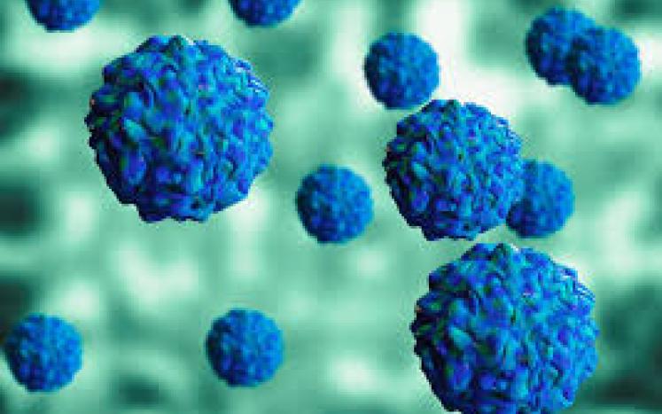 Polio virus detected in Orange County wastewater samples