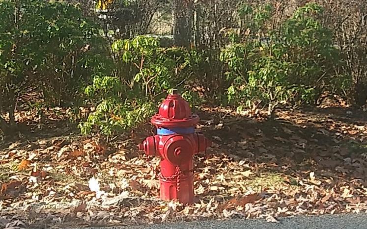 A Fresh Coat of Paint for the Hydrants