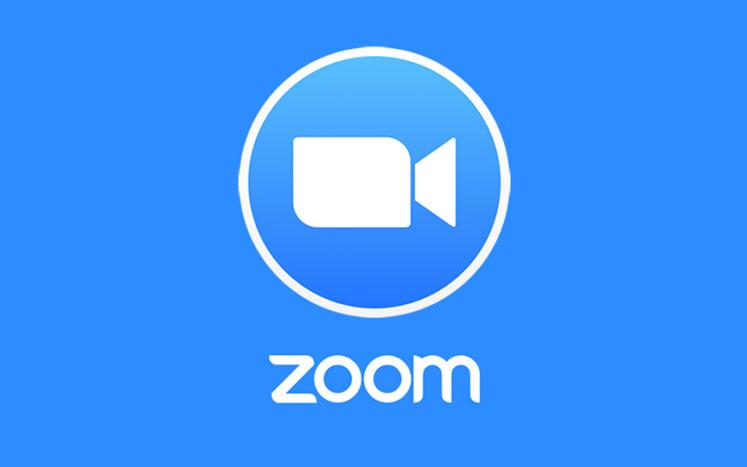 Videoconference Meeting Requirements: